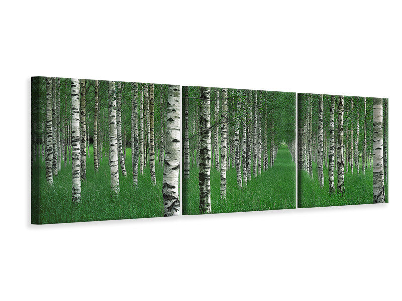 panoramic-3-piece-canvas-print-the-tunnel