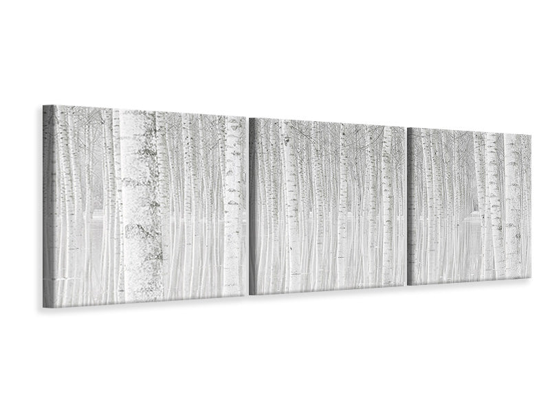 panoramic-3-piece-canvas-print-trees