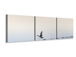 panoramic-3-piece-canvas-print-untitled-xlv