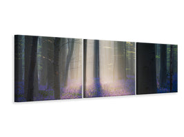panoramic-3-piece-canvas-print-velvet-light