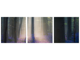panoramic-3-piece-canvas-print-velvet-light