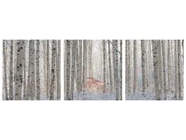 panoramic-3-piece-canvas-print-white