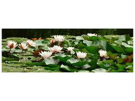 panoramic-canvas-print-a-field-full-of-water-lilies