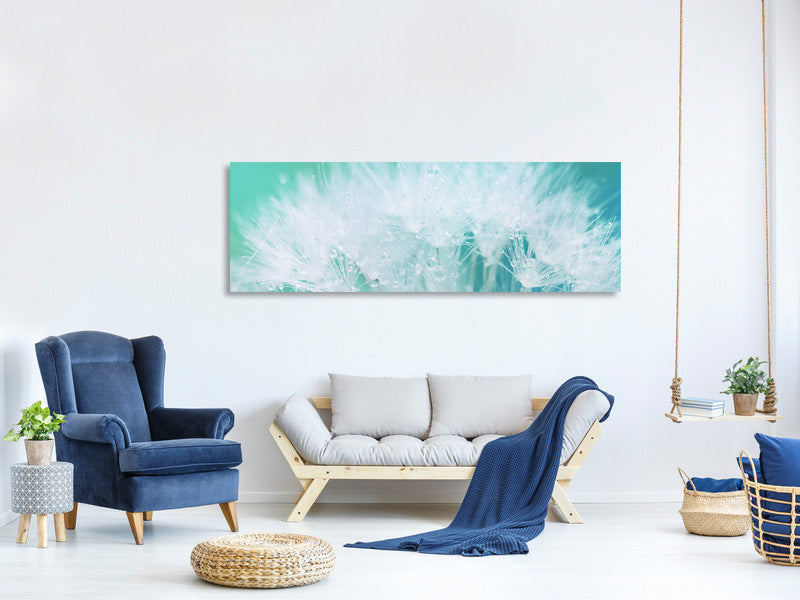 panoramic-canvas-print-close-up-dandelion-in-morning-dew
