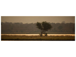 panoramic-canvas-print-elephant-alone-in-the-steppe