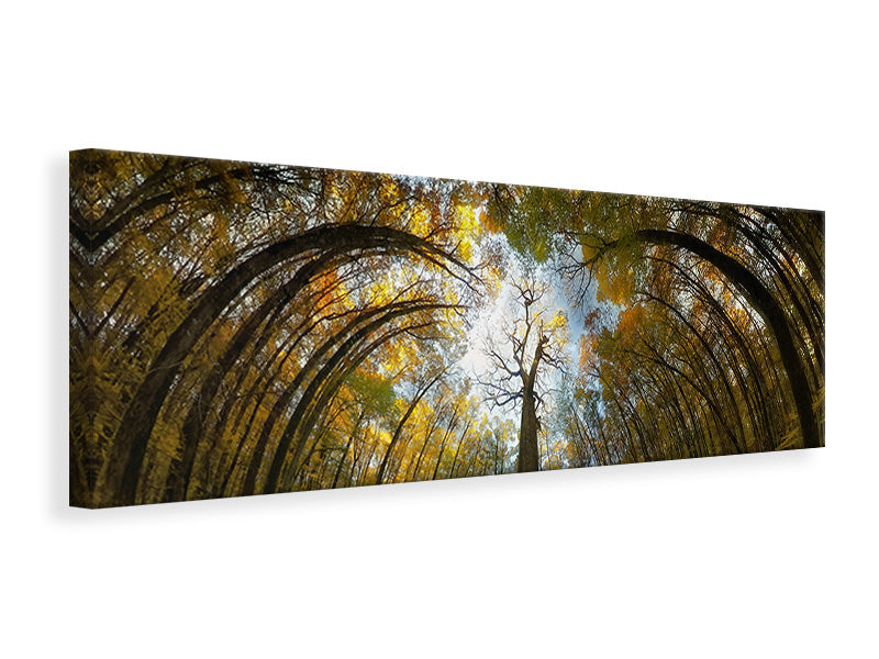 panoramic-canvas-print-her-majesty
