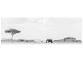 panoramic-canvas-print-high-key-savannah