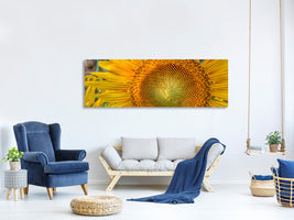 panoramic-canvas-print-inflorescence-of-a-sunflower