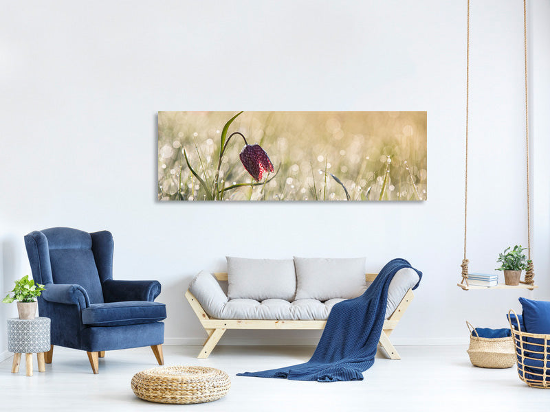 panoramic-canvas-print-morningdew