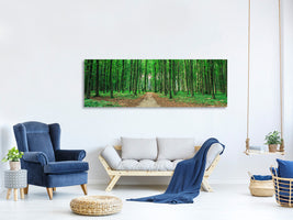 panoramic-canvas-print-pine-forests