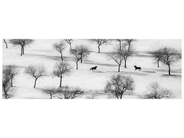 panoramic-canvas-print-run
