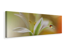 panoramic-canvas-print-sound-of-colors