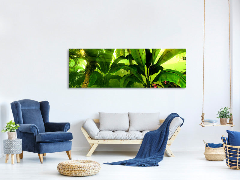 panoramic-canvas-print-sunrise-in-the-rainforest