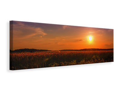 panoramic-canvas-print-sunset-at-the-flower-field