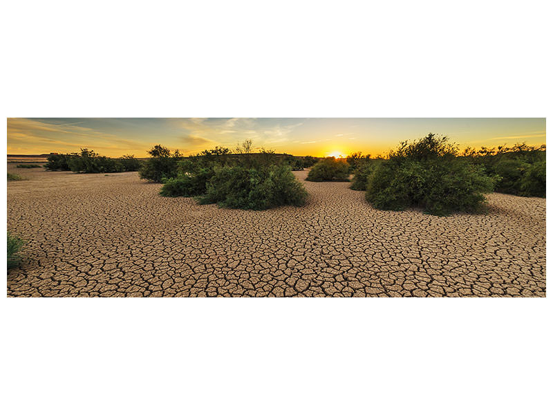 panoramic-canvas-print-the-drought
