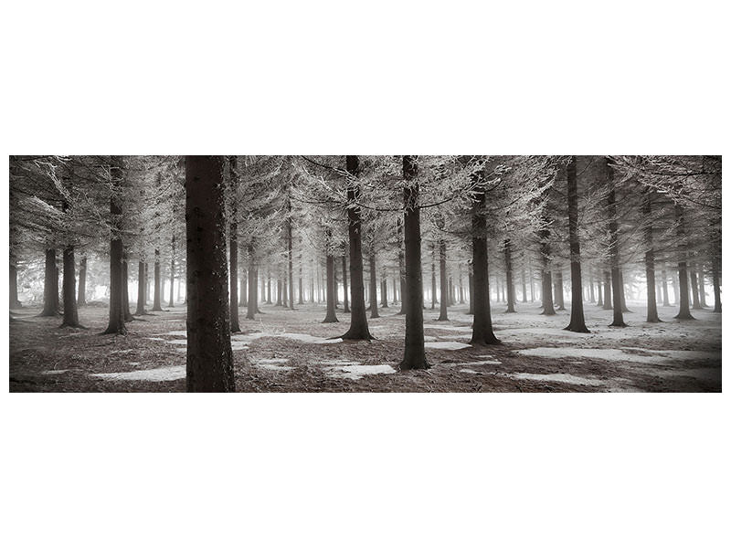 panoramic-canvas-print-the-onset-of-winter