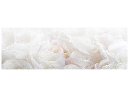 panoramic-canvas-print-white-roses-in-the-morning-dew