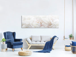 panoramic-canvas-print-white-roses-in-the-morning-dew