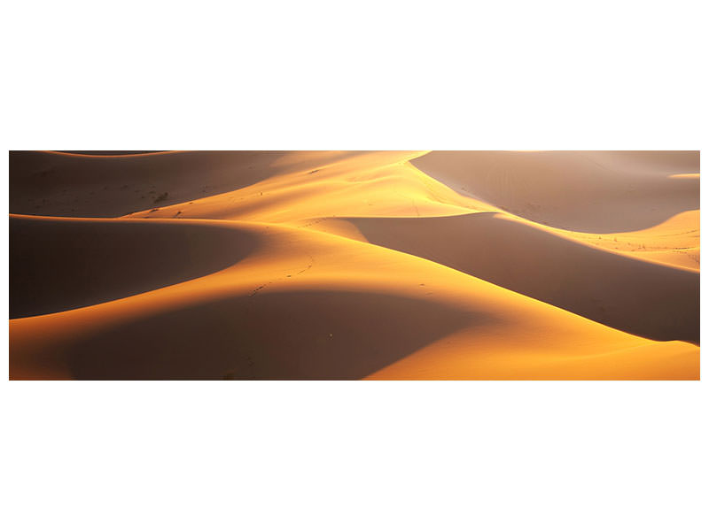 panoramic-canvas-print-wilderness-journey