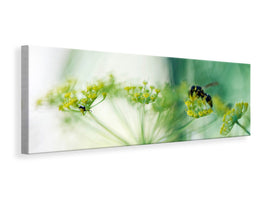 panoramic-canvas-print-xxl-parsnip